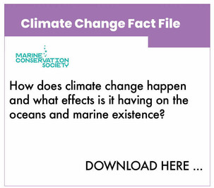 dpc_factfile_climatechange.jpeg