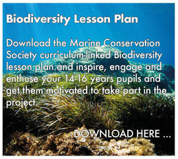 dpc_1. biolesson_buttons copy.jpeg
