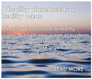 dpc_education_climate_healthyplanet.jpeg