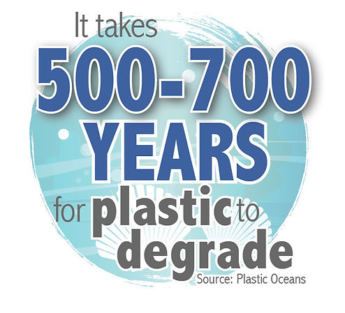 dive_facts_revised_500years.jpeg
