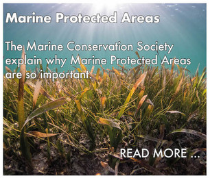 dpc_marineprotectedareas_buttons.jpeg
