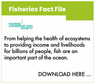 dpc_factfile_fisheries.jpeg