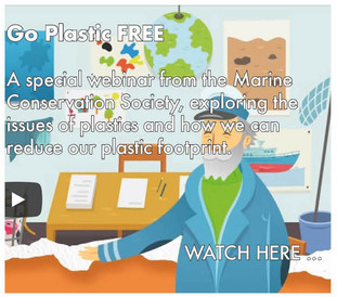 dpc_education_plastic_goplasticfree.jpeg
