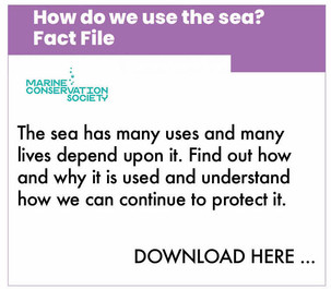 dpc_factfile_howdowesea.jpeg