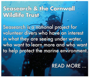 dpc_seasearch&cwt_buttons.jpeg