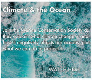 dpc_education_climate_andtheocean.jpeg