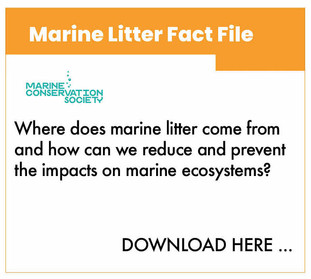 dpc_factfile_marinelitter.jpeg