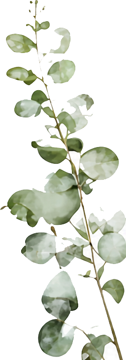 right-plant.png