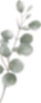 Untitled-1222.png