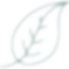 THBD_Icons-01.png