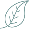 THBD_Icons-01.png