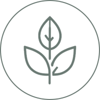 qualifications-icon-4.png
