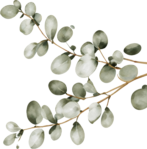 plant-cta-right.png