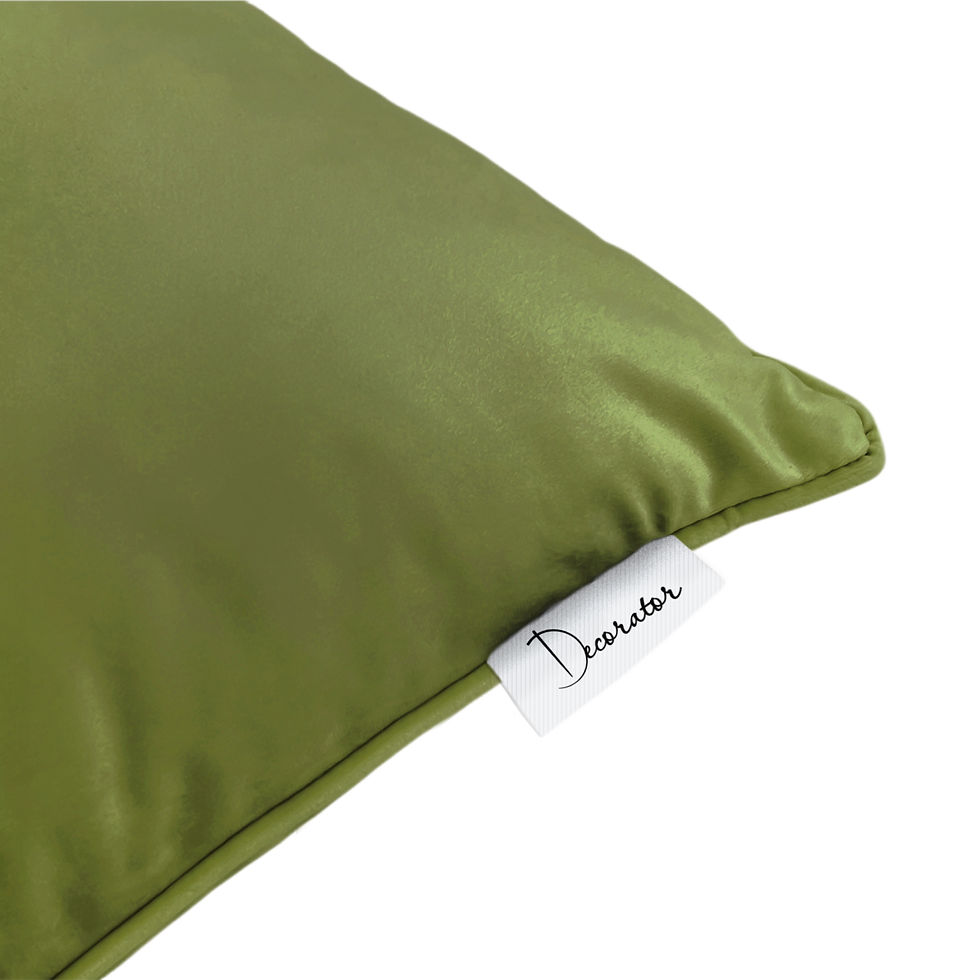 Thumbnail: Decorative pillow Velour 45x45 light green