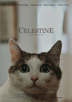 Celestine Poster Neu 02.jpg