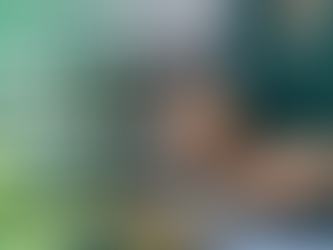 Green Dining by the Sea: Havelock’s Eco Eats