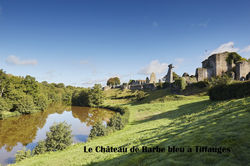 ChateauTiffaugesA