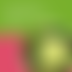 Jahresbericht 2020/2021