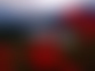 秋の分水嶺トレイル