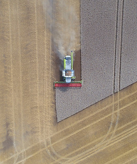 Agriculture