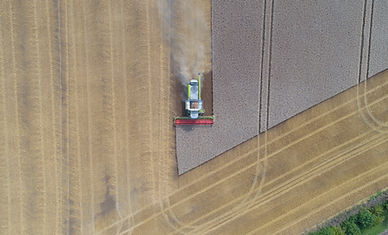 Agriculture