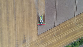 Landwirtschaft
