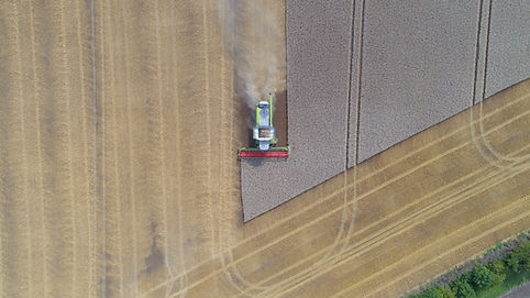 A combine harvester cutting down wheat from an aerial view