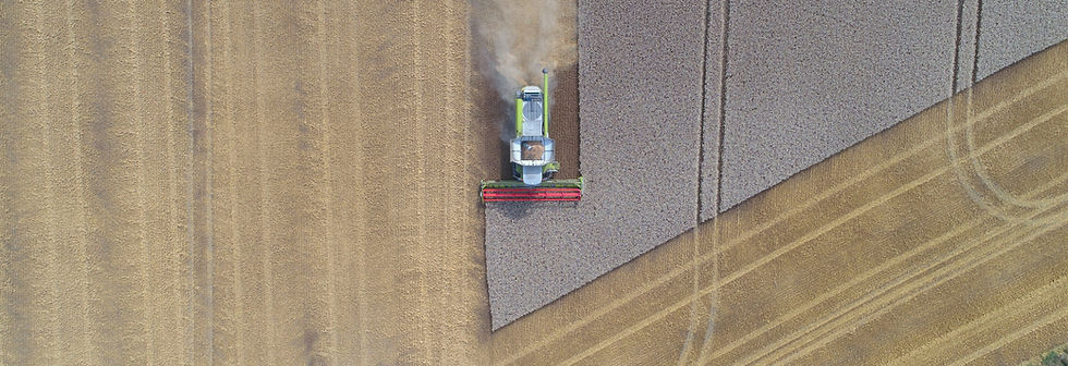 Landwirtschaft