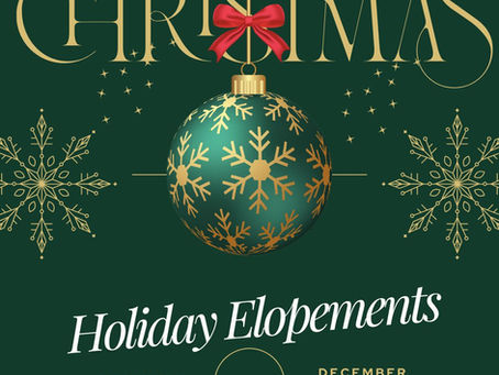 #christmaswedding #newyearseveelopement