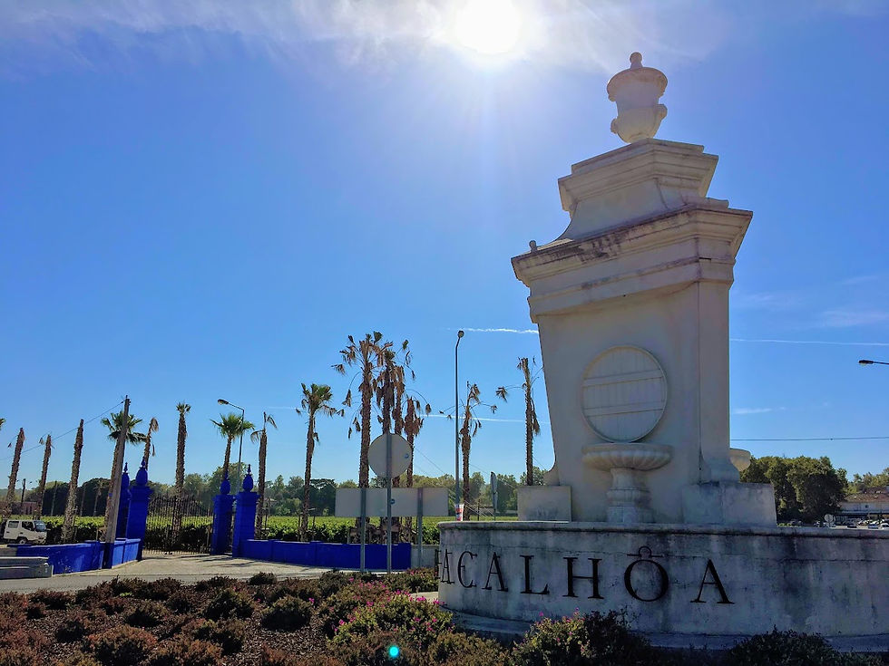 Miniatura: Cabo Espichel - Setúbal - Bacalhôa