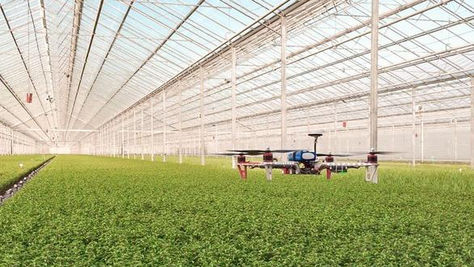 Innovación en el Cielo: Drones y Tecnología Aérea Revolucionando los Invernaderos
