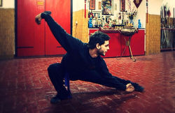 Giovanni Sciaccaluga - Tai Chi Chuan