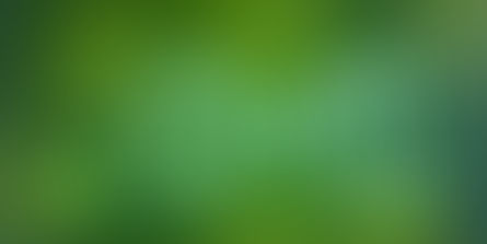 ¿Qué deben ser los desafíos?