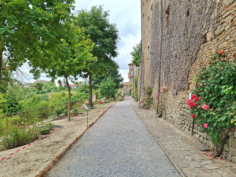 Viale della Rimembranza di Bossolasco, il paese delle rose
