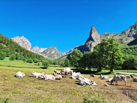 il massiccio del Provenzale da Chiappera in Valle Maira