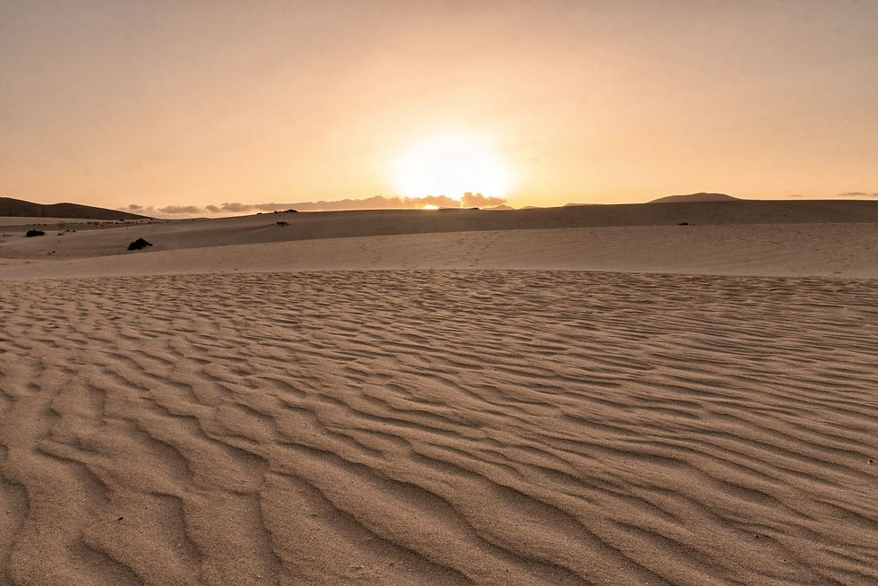 Le dune di Corralejo