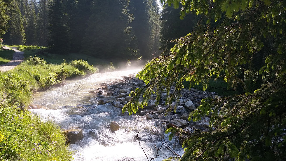 La prima parte della passeggiata lungo il rio Travignolo