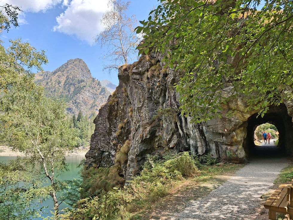 uno scorcio del sentiero sul lago di Antrona