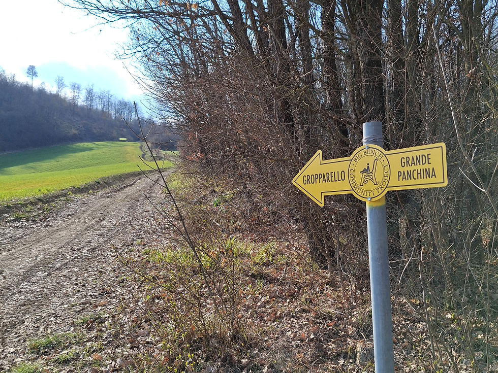 big bench 424 di Gropparello