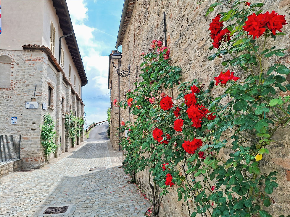 i vicoli del borgo di Bossolasco, il paese delle rose