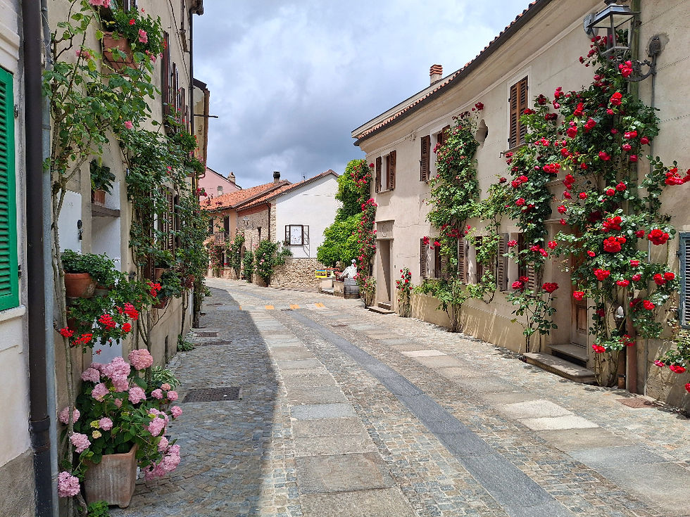 i vicoli del borgo di Bossolasco, il paese delle rose