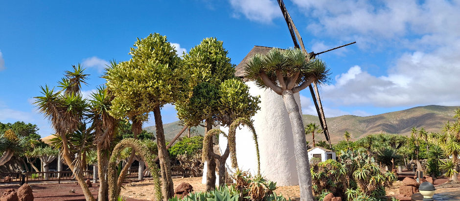 Mulini all'interno del Museo del Queso a Fuerteventura
