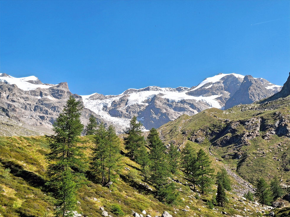 salita verso le sorgenti del Lys