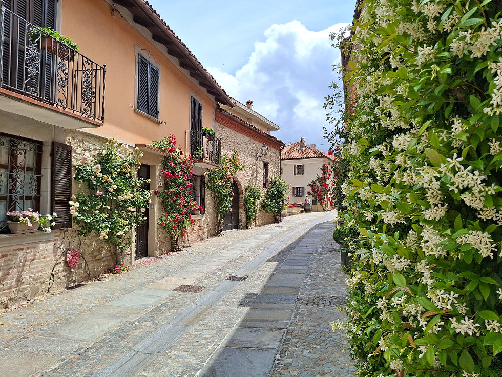 i vicoli del borgo di Bossolasco, il paese delle rose