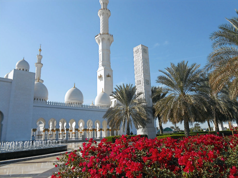 Moschea Bianca di Abu Dhabi, gli esterni