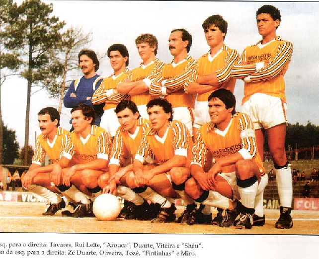 ADV 1984-1985.jpg