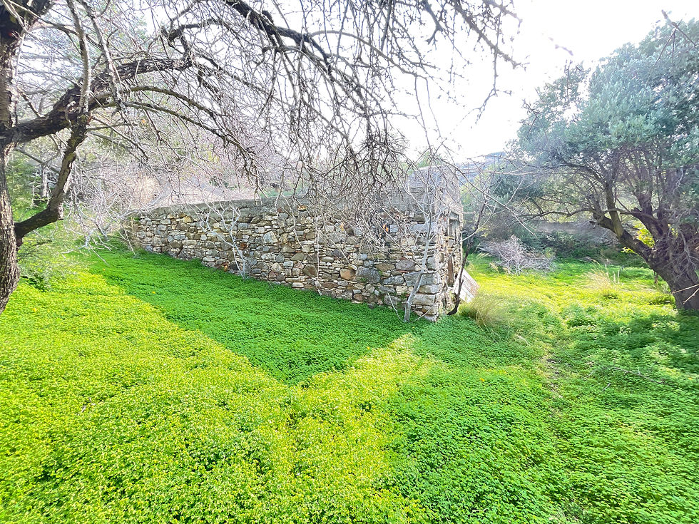 Αγία Μερόπη-Ασκεπές Ερειπομένο