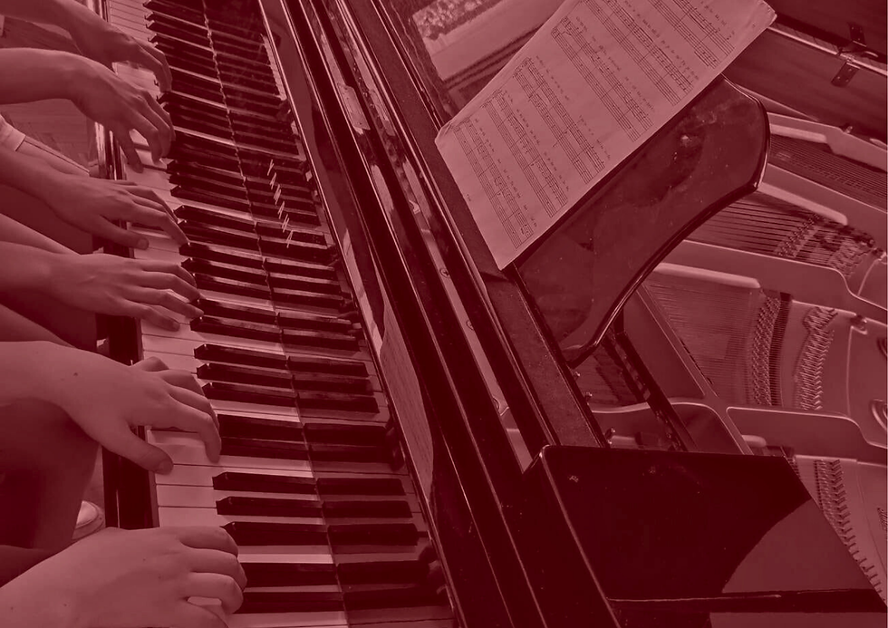 Koncert účastníků Janáčkovy dílny