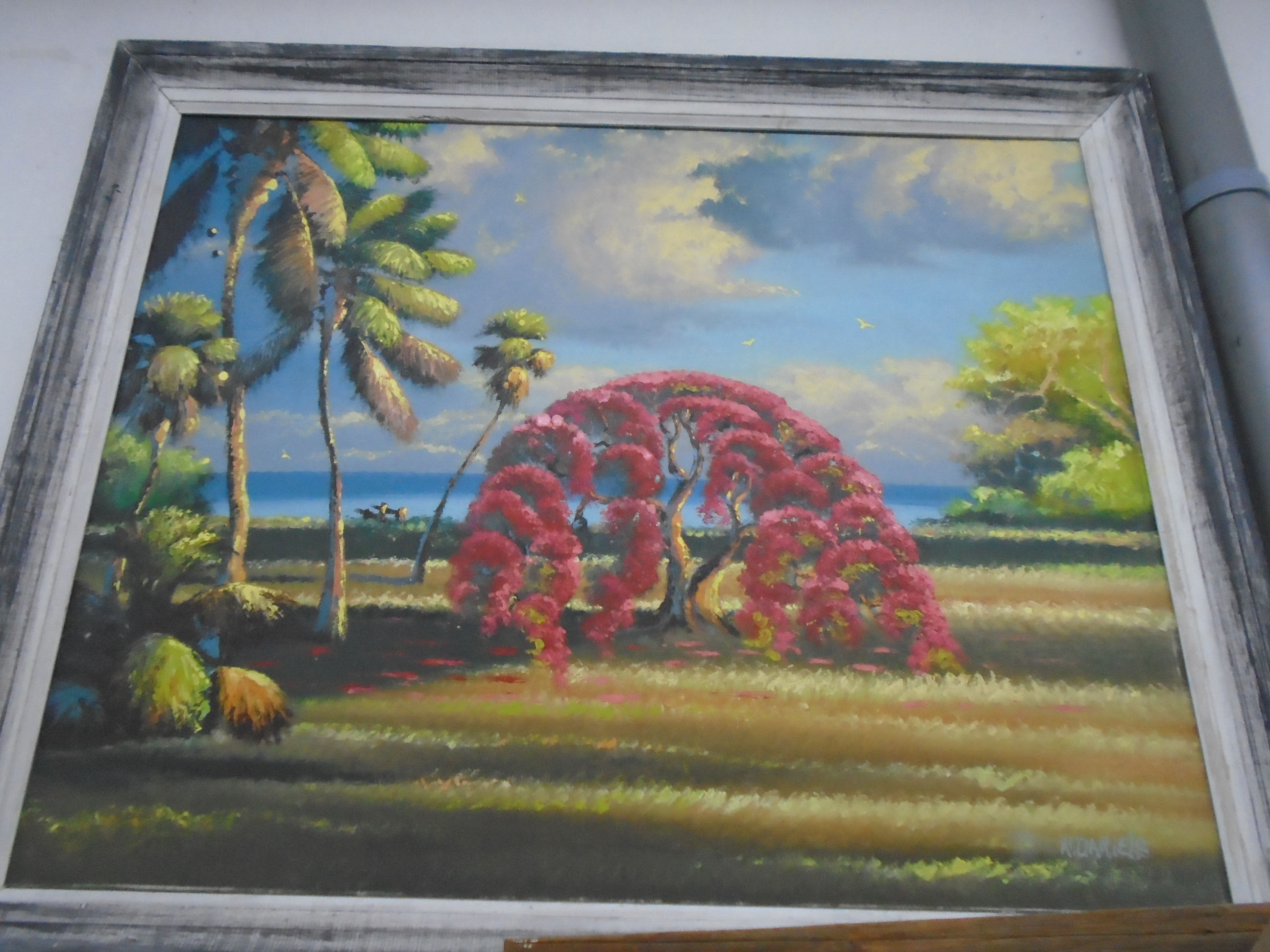 florida americana landscape
