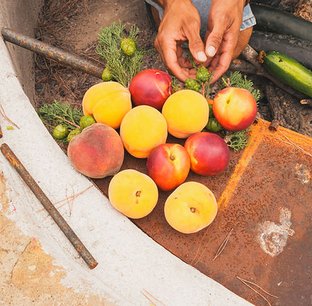 VILLA ST JOSEPH x FV66.jpg